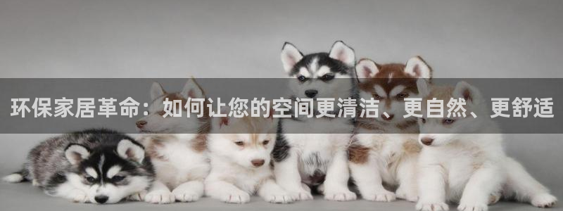 沐鸣2平台登录入口：环保家居革命：如何让您的空间更清洁、更自