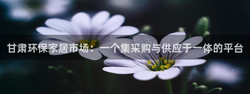 沐鸣2平台官方网站：甘肃环保家居市场：一个集采购与供应于一体