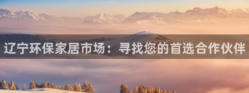 沐鸣2平台官方网站：辽宁环保家居市场：寻找您的首选合作伙伴