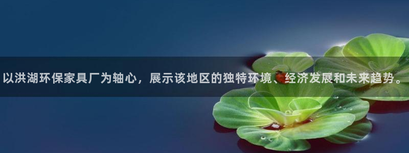 沐鸣2注册登录官网：以洪湖环保家具厂为轴心，展示该地区的独特