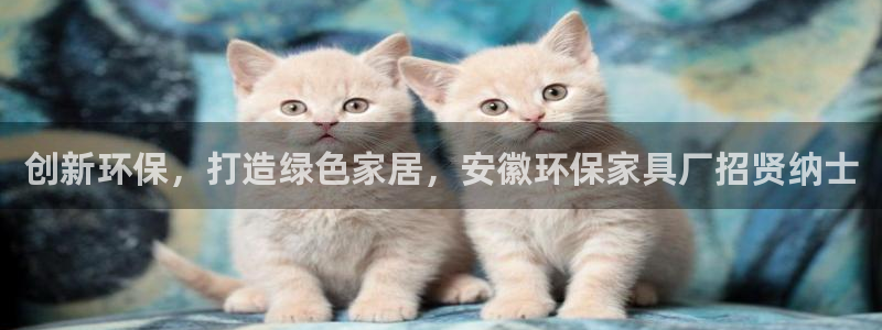 沐鸣2代理登录中心：创新环保，打造绿色家居，安徽环保家具厂招