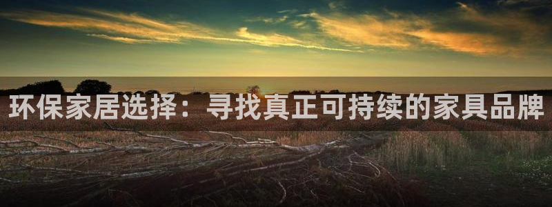 沐鸣2官网游戏：环保家居选择：寻找真正可持续的家具品牌