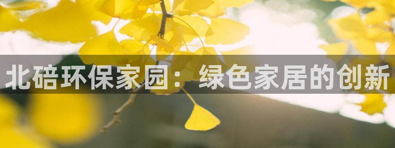 沐鸣2平台招商的流程：北碚环保家园：绿色家居的创新