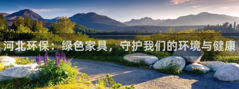 沐鸣2平台招商的流程：河北环保：绿色家具，守护我们的环境与健