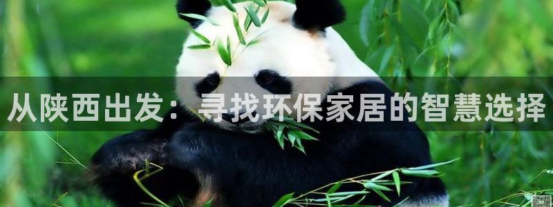 沐鸣2平台注册网址：从陕西出发：寻找环保家居的智慧选择