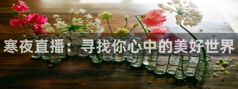 24直播网址：寒夜直播：寻找你心中的美好世界