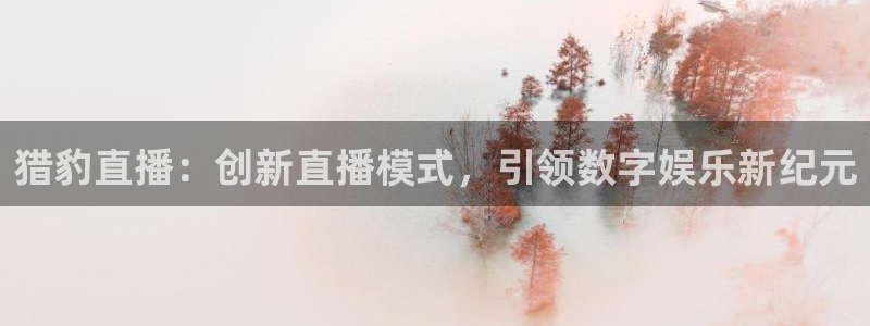 24直播足球在线直播：猎豹直播：创新直播模式，引领数字娱乐新纪元