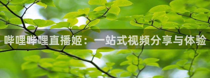 nba 24直播