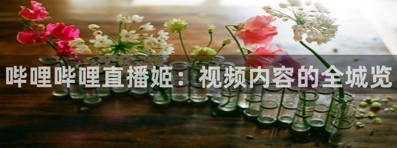 24直播 体育：哔哩哔哩直播姬：视频内容的全城览