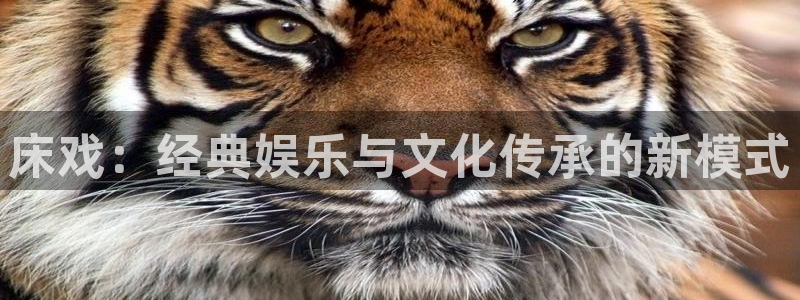 24直播网体育在线直播女排联赛