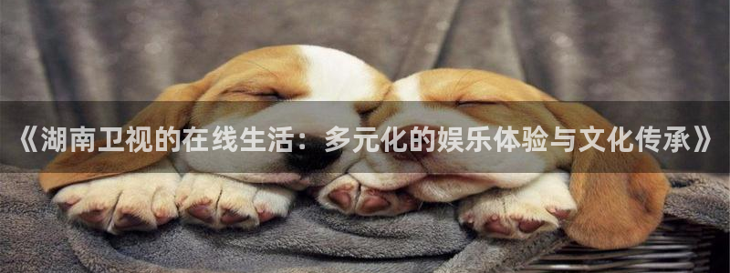 24直播网官网下载：《湖南卫视的在线生活：多元化的娱乐体验与文化传承》
