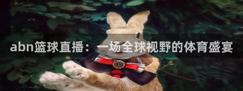 24直播网 nba直播吧：abn篮球直播：一场全球视野的体育盛宴