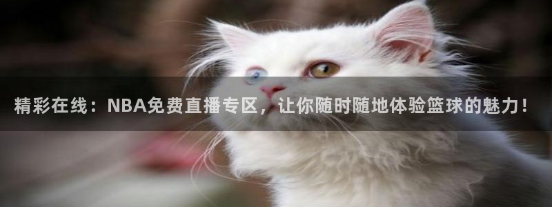 24直播网体育在线直播女排联赛