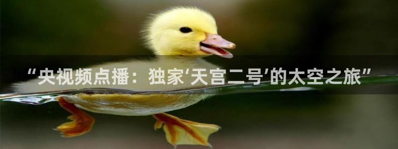 24直播网篮球：“央视频点播：独家‘天宫二号’的太空之旅”